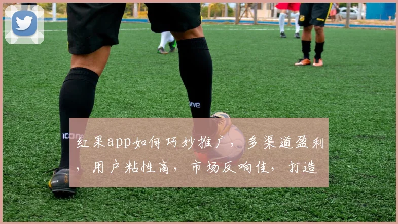 红果app如何巧妙推广，多渠道盈利，用户粘性高，市场反响佳，打造爆款