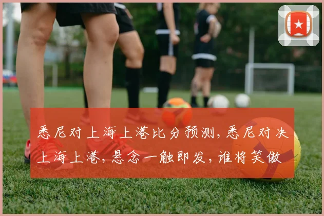 悉尼对上海上港比分预测,悉尼对决上海上港,悬念一触即发,谁将笑傲江湖